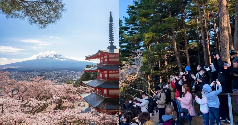 1770392304092_photo_2026 02 06_18 09 12