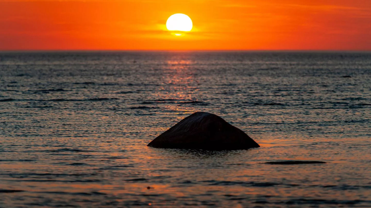 Estonia Travel Guide 2025: Why This Baltic Gem Is Trending Now