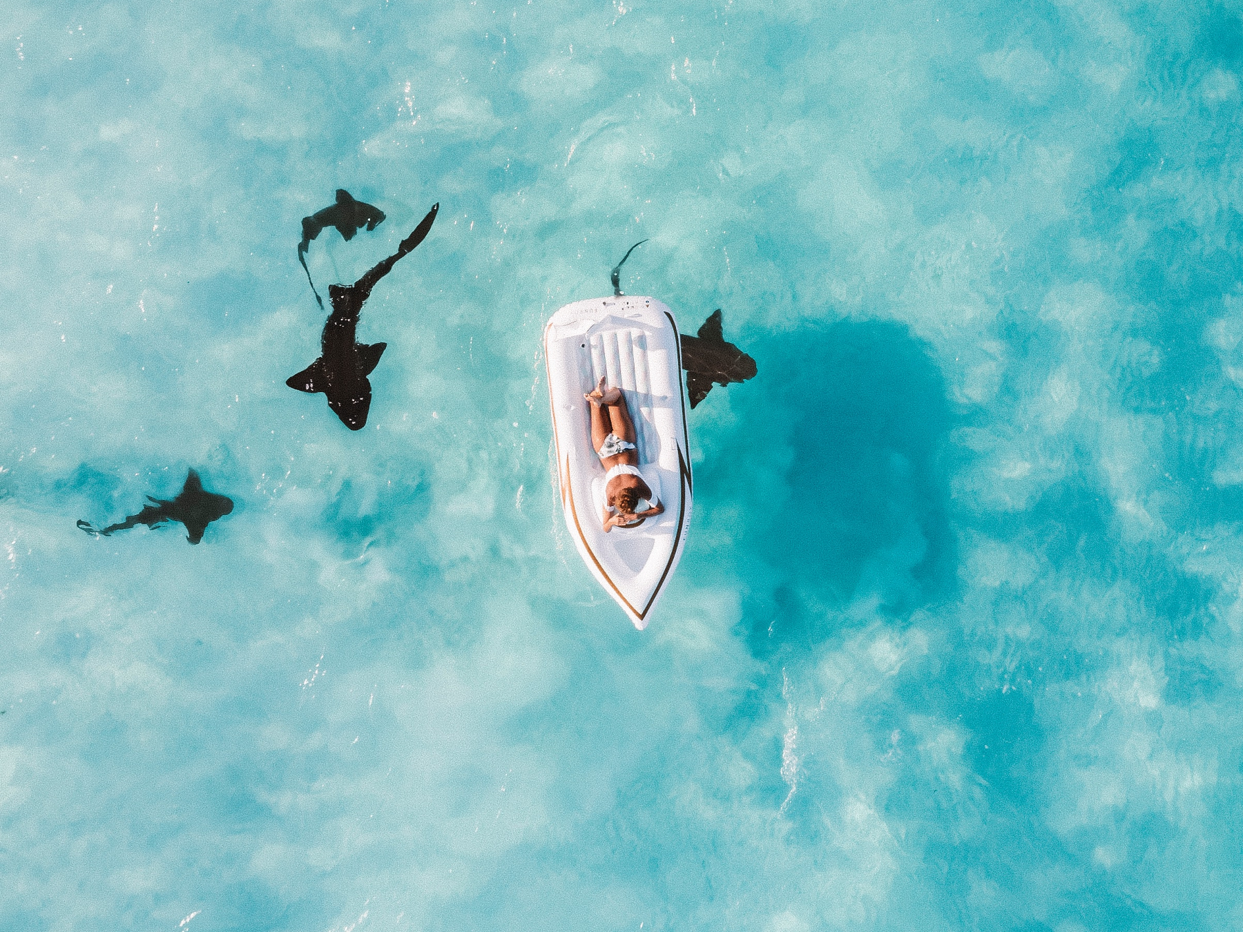 March 2026 Travel Planning: Best Destinations, Events & Trends to Know