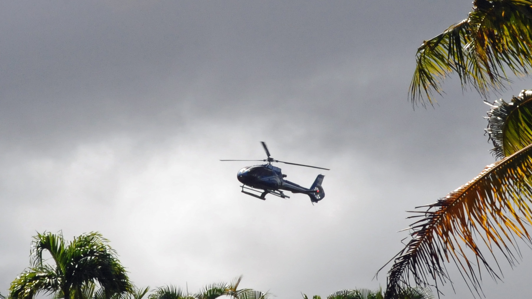 1774622126424_Blue Hawaiian Helicopters aircraft approaches Princeville 1