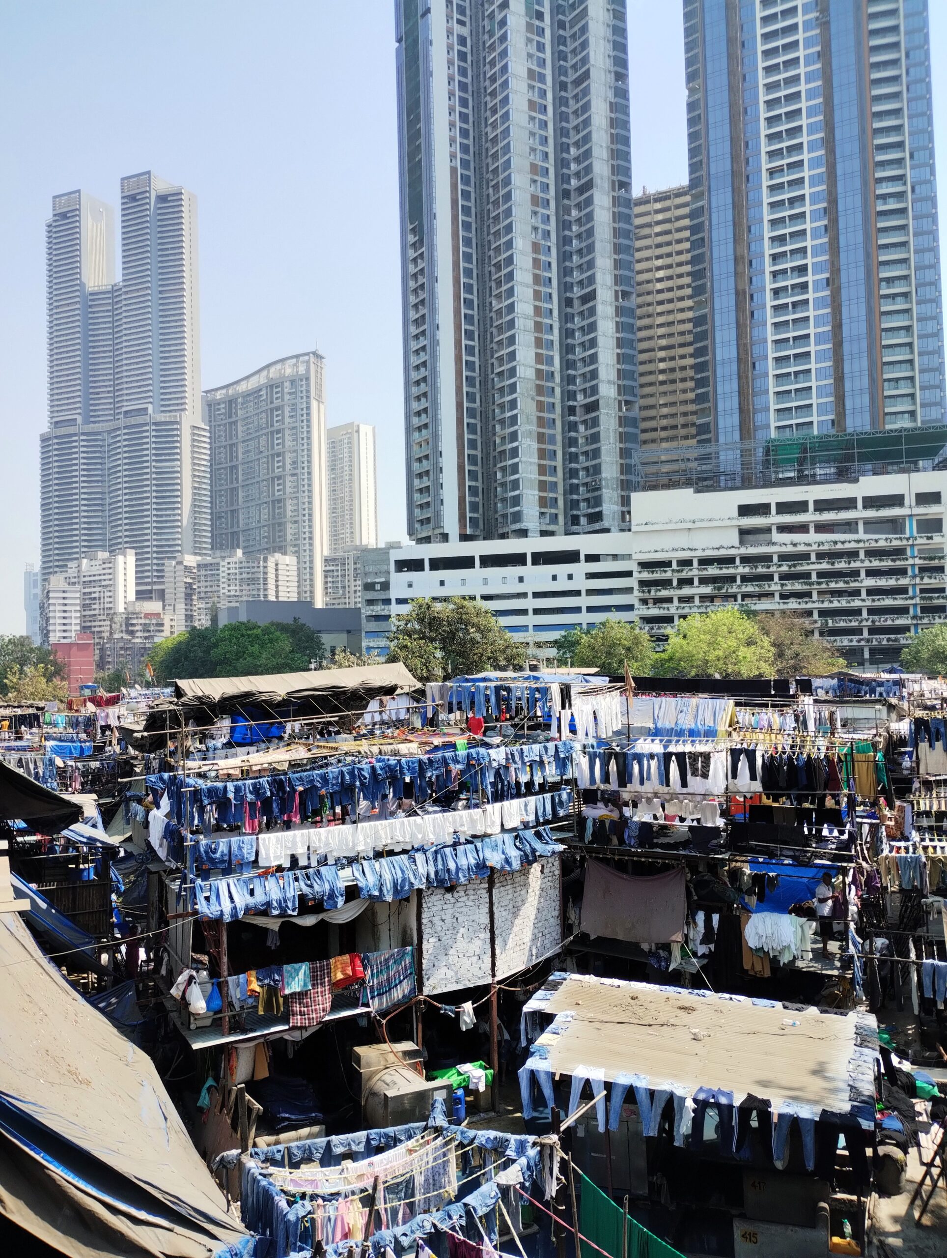 1775917953537_Review of Mumbai city tour scaled