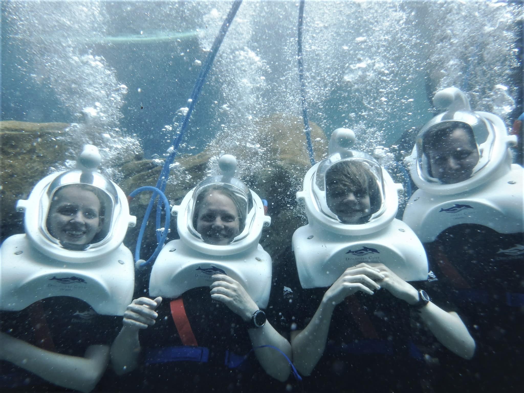 1777558550786_Discovery_Cove_Sea_Venture_Vandas_DC_Photographer