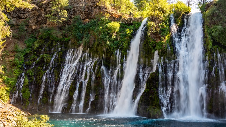 1782051063490_a new lottery system for campsites at some california state parks 1755733003