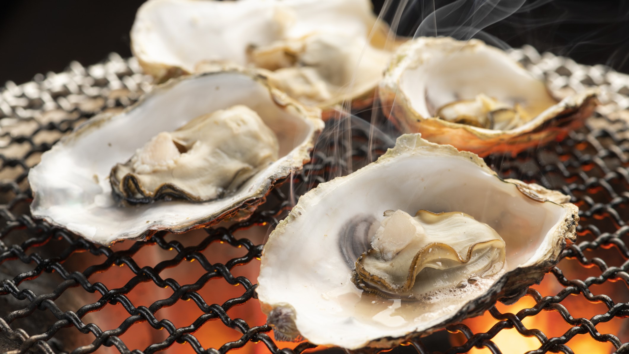 1786198604586_DFE Vibrio Oysters Baking oysters