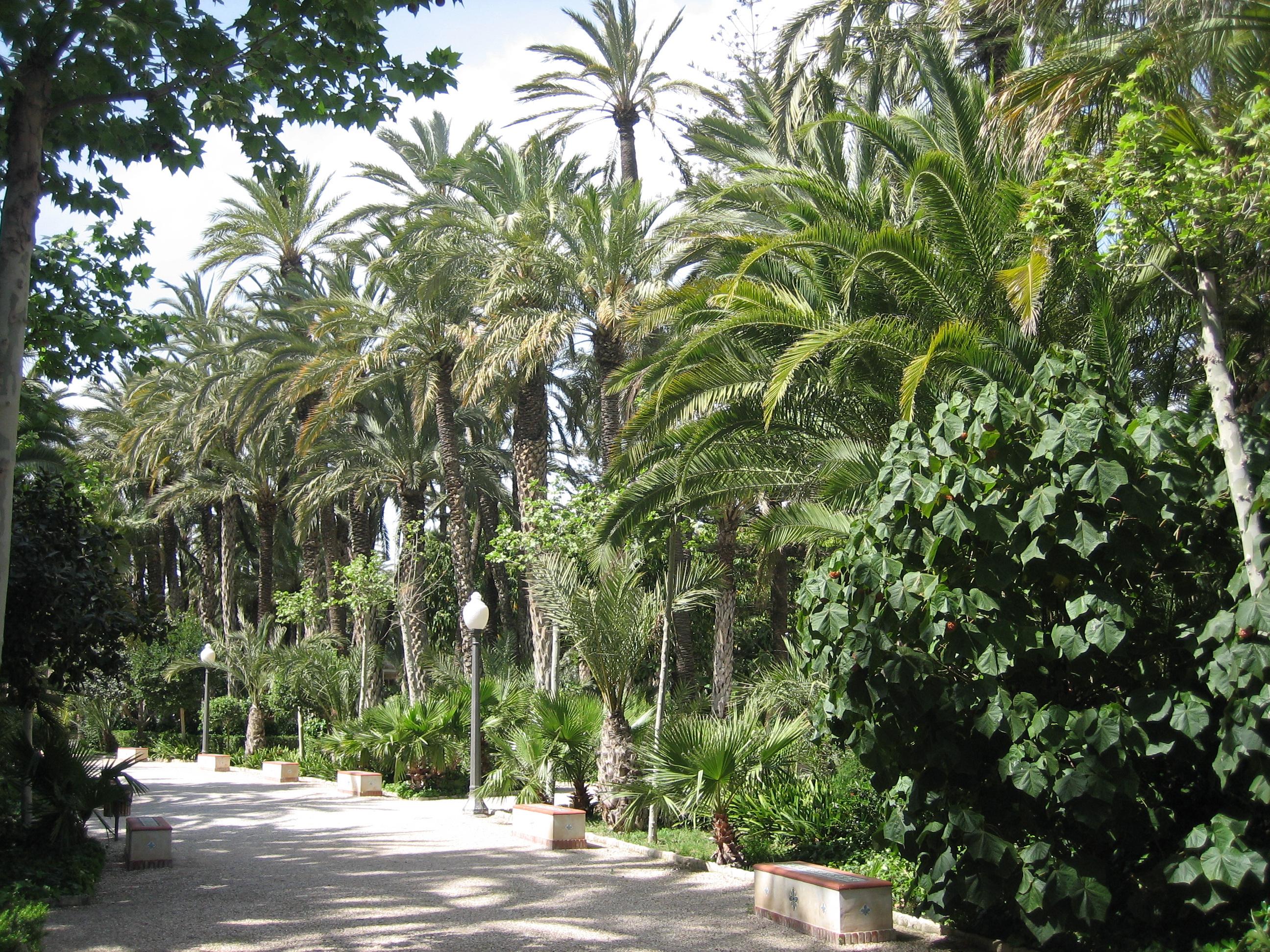 1787581553657_Elche_ _parque_municipal1