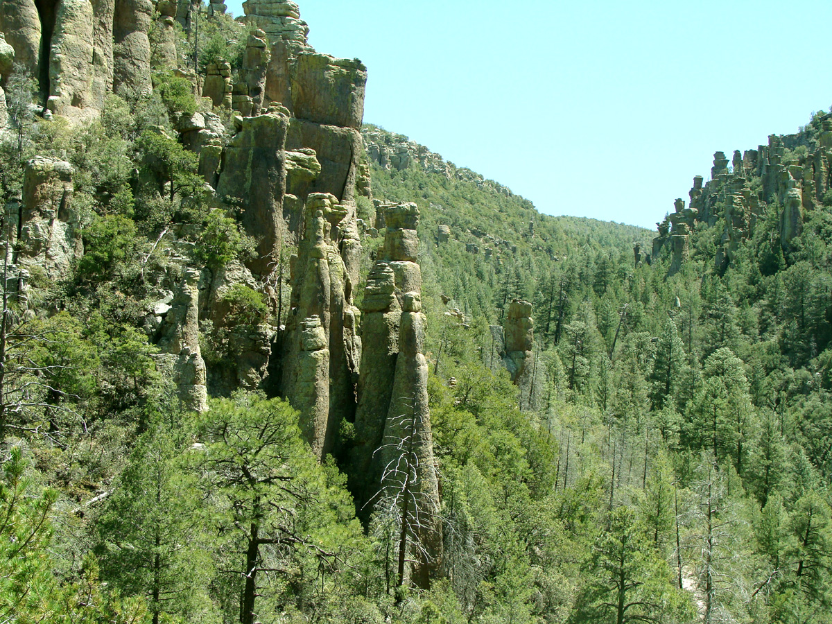 1792681734755_Chiricahua_nima3